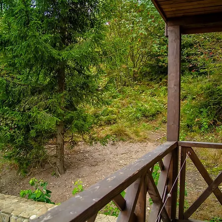 Pid Lisom Hotel Skhidnytsia