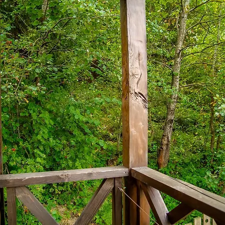 Otel Pid Lisom Skhidnytsia